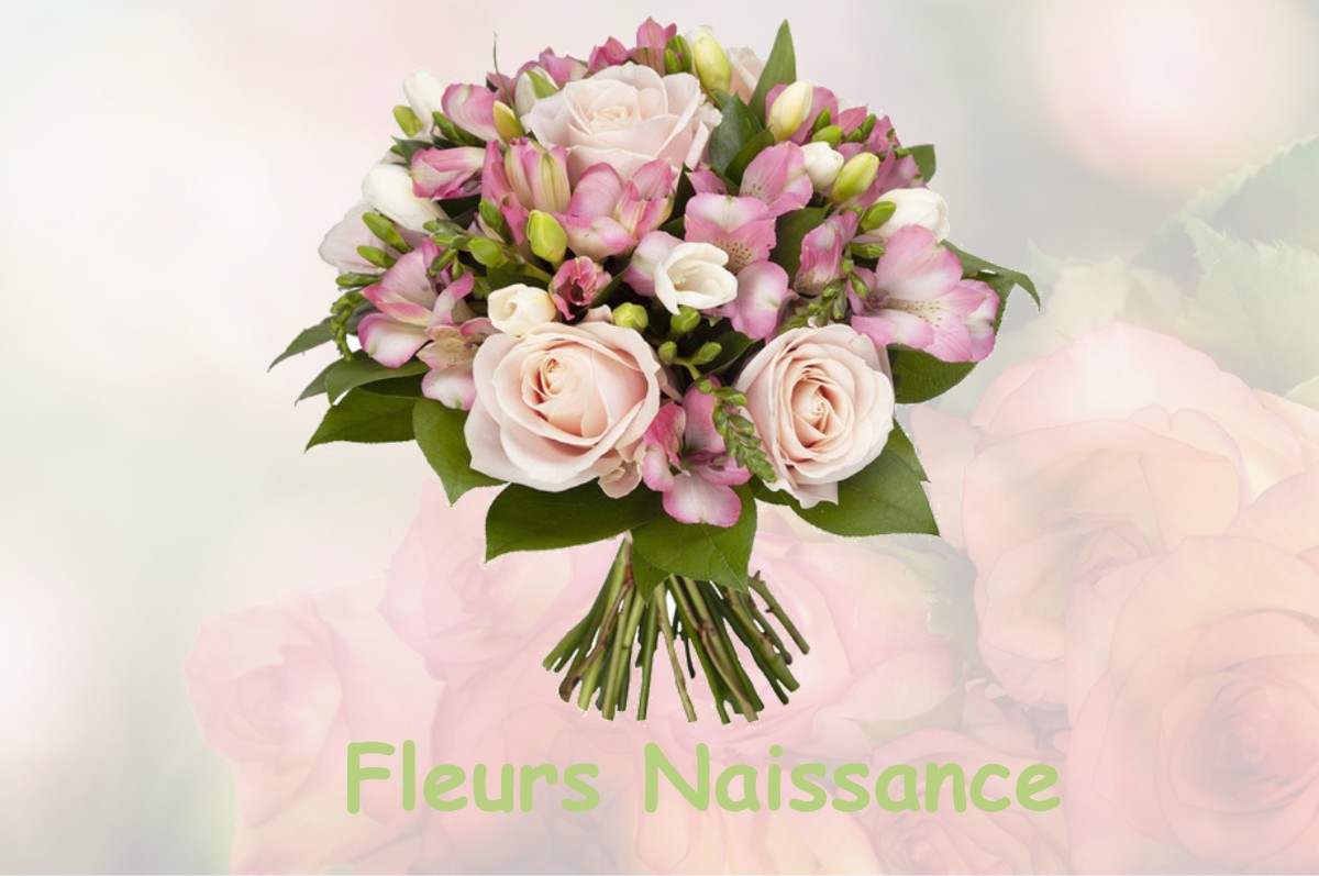 fleurs naissance ESTREUX