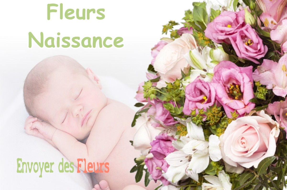 lIVRAISON FLEURS NAISSANCE à ESTREUX